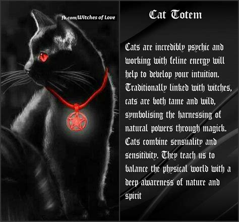 Tarit of pagan cats